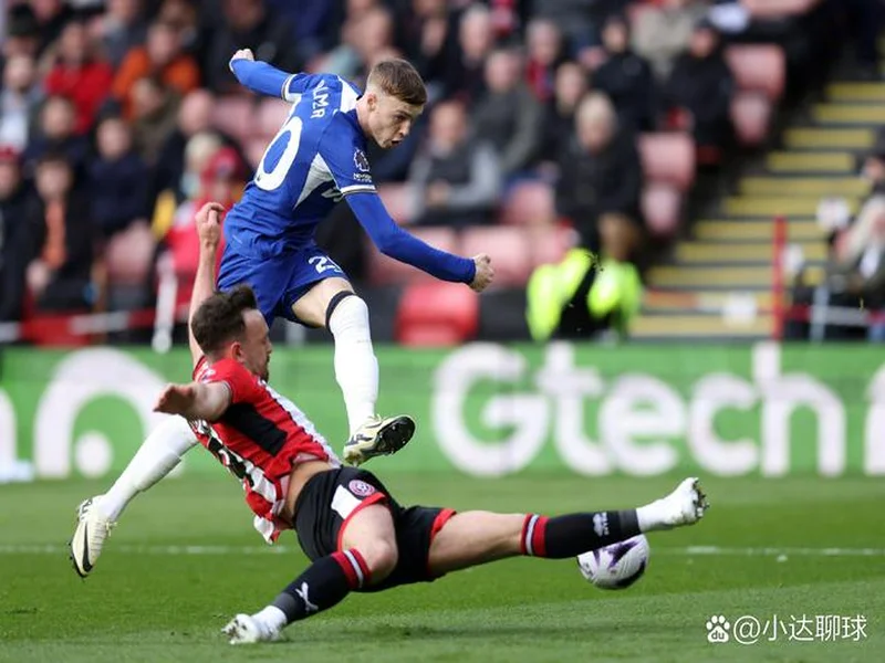 高效！谢尔基本赛季英超仅出场398分钟，但斩获1球5助攻